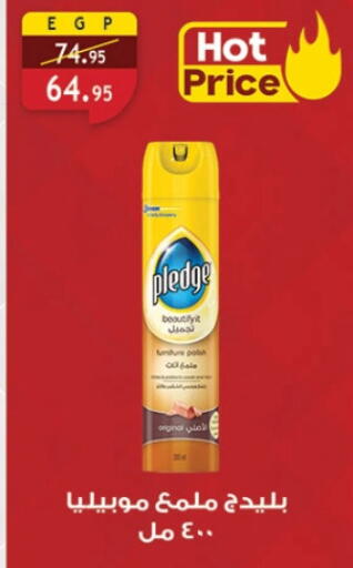 بليدج العناية بالأثاث available at الرايه  ماركت in Egypt - القاهرة