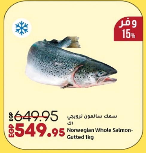 available at لولو هايبرماركت in Egypt - القاهرة