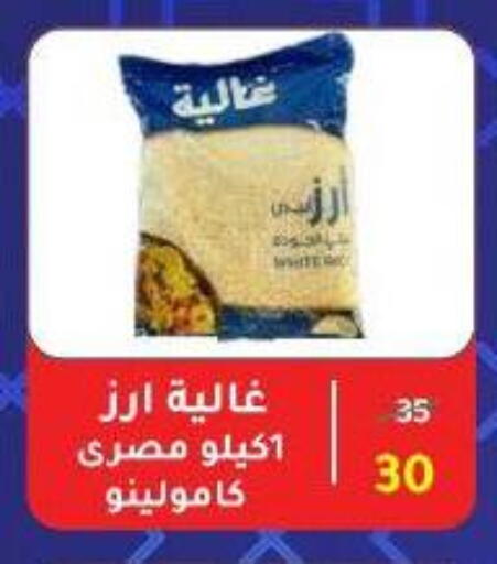 Calrose Rice available at Wekalet Elmansoura - Dakahlia  in Egypt - Cairo