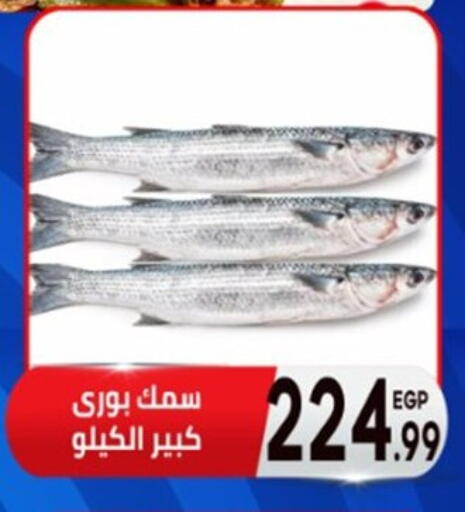 available at أولاد المحاوى in Egypt - القاهرة