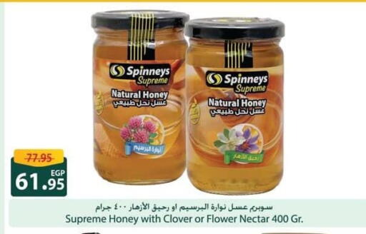 عسل available at سبينس in Egypt - القاهرة
