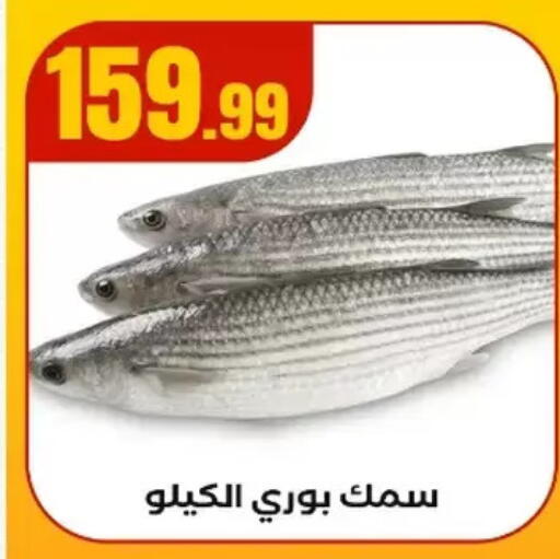 available at مارت فيل in Egypt - القاهرة