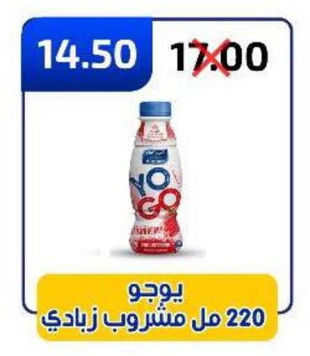 زبادي available at وكالة المنصورة - الدقهلية‎ in Egypt - القاهرة