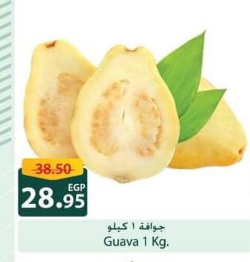 Guava available at Spinneys  in Egypt - Cairo