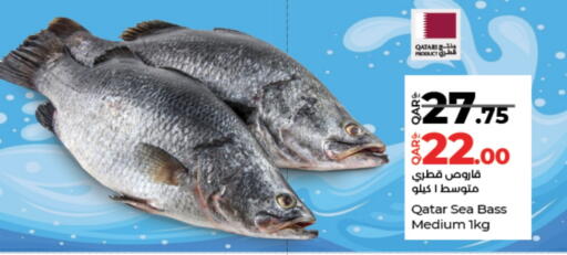 available at LuLu Hypermarket in Qatar - Al Daayen