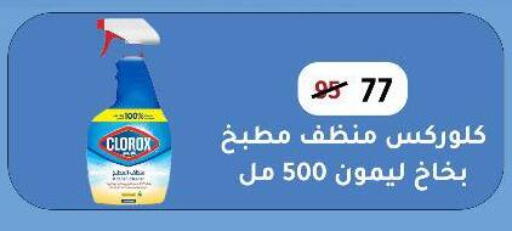 كلوركس منظف عام available at وكالة المنصورة - الدقهلية‎ in Egypt - القاهرة
