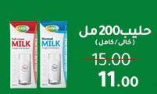 available at وكالة المنصورة - الدقهلية‎ in Egypt - القاهرة