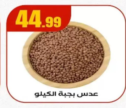 available at مارت فيل in Egypt - القاهرة