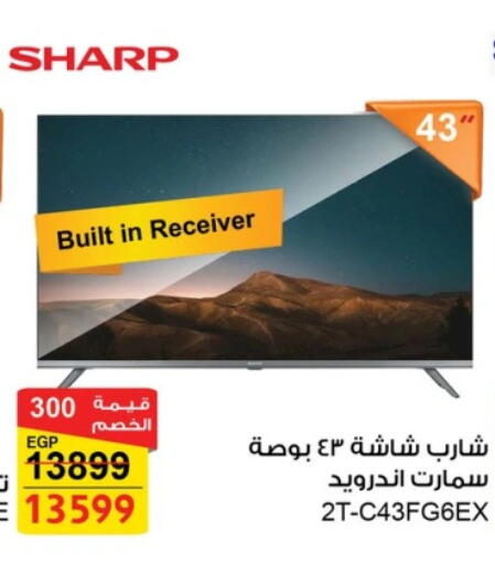 شارب تلفاز ذكي available at فتح الله in Egypt - القاهرة