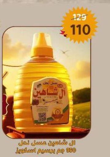 Honey available at Wekalet Elmansoura - Dakahlia  in Egypt - Cairo