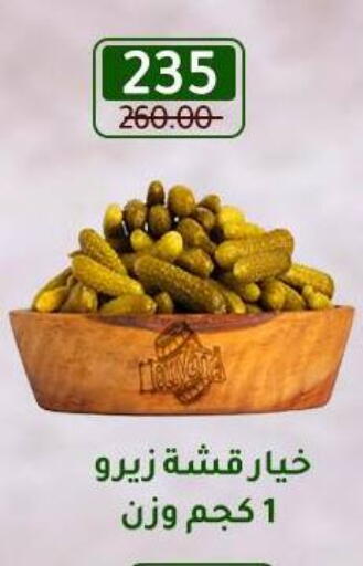 available at وكالة المنصورة - الدقهلية‎ in Egypt - القاهرة