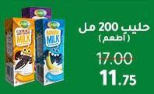 available at Wekalet Elmansoura - Dakahlia  in Egypt - Cairo