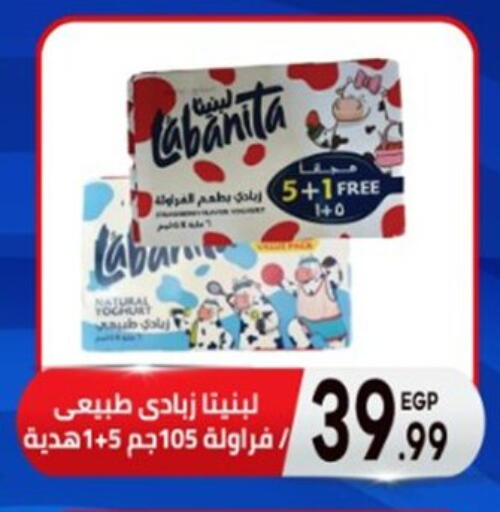 زبادي available at أولاد المحاوى in Egypt - القاهرة