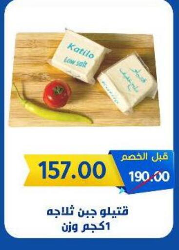 KATILO available at Wekalet Elmansoura - Dakahlia  in Egypt - Cairo