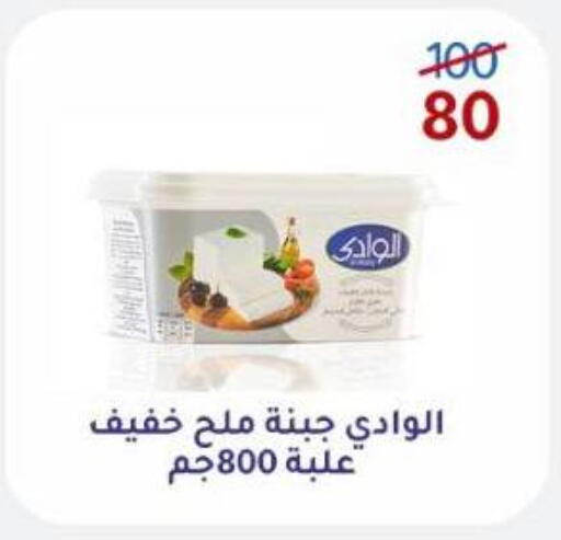 available at Wekalet Elmansoura - Dakahlia  in Egypt - Cairo