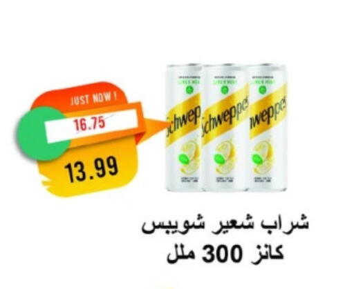شويبس available at مترو ماركت in Egypt - القاهرة