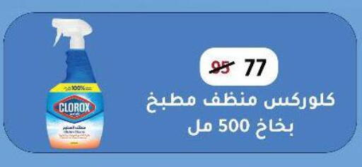 كلوركس منظف عام available at وكالة المنصورة - الدقهلية‎ in Egypt - القاهرة