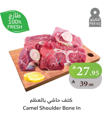 Camel meat available at Al Raya in KSA, Saudi Arabia, Saudi - Jeddah
