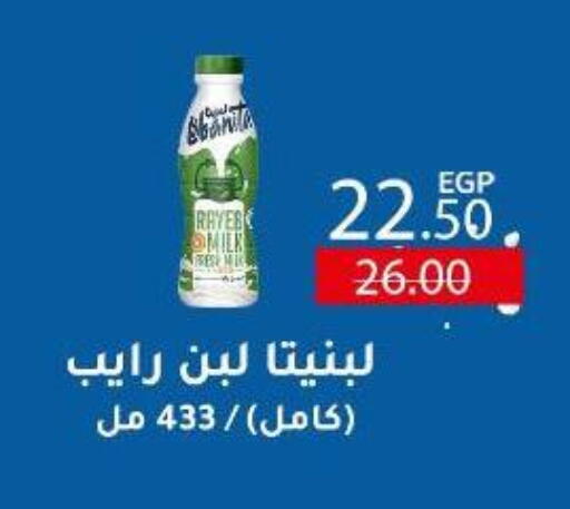 لبن available at وكالة المنصورة - الدقهلية‎ in Egypt - القاهرة