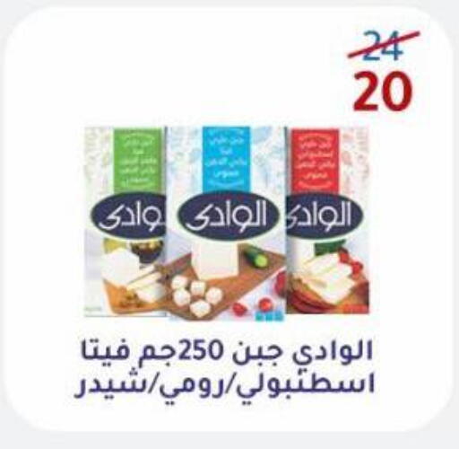 Cheddar Cheese available at Wekalet Elmansoura - Dakahlia  in Egypt - Cairo