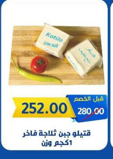 KATILO available at Wekalet Elmansoura - Dakahlia  in Egypt - Cairo