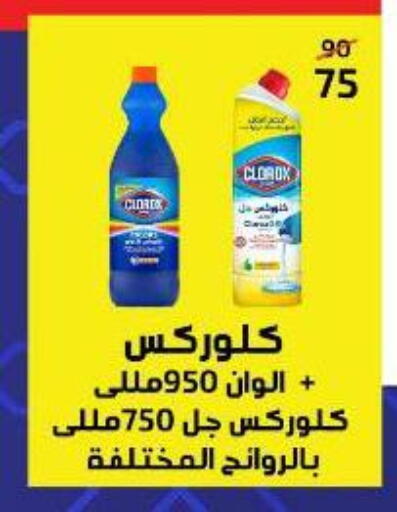 كلوركس منظف عام available at وكالة المنصورة - الدقهلية‎ in Egypt - القاهرة