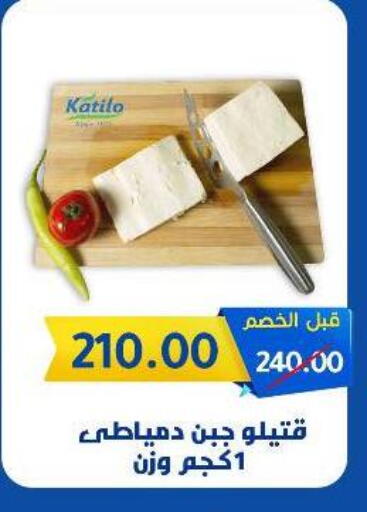KATILO available at Wekalet Elmansoura - Dakahlia  in Egypt - Cairo