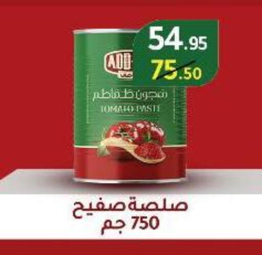 Tomato available at Wekalet Elmansoura - Dakahlia  in Egypt - Cairo