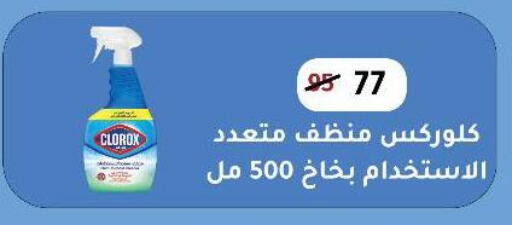 كلوركس منظف عام available at وكالة المنصورة - الدقهلية‎ in Egypt - القاهرة