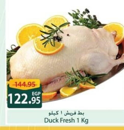 available at سبينس in Egypt - القاهرة