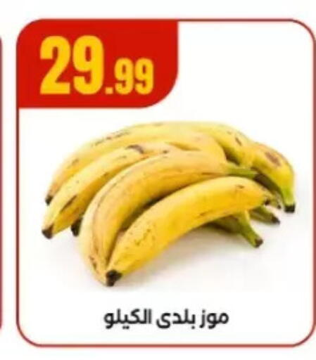 Banana available at El Mahlawy Stores in Egypt - Cairo