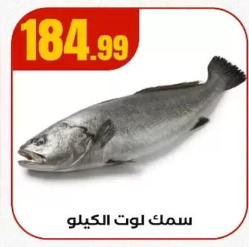 available at مارت فيل in Egypt - القاهرة