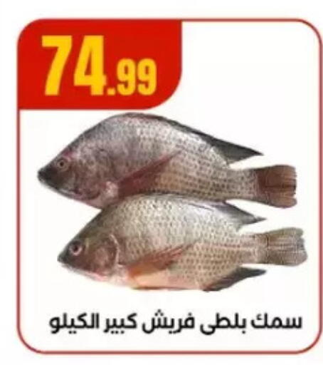 available at مارت فيل in Egypt - القاهرة
