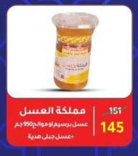 Honey available at Wekalet Elmansoura - Dakahlia  in Egypt - Cairo