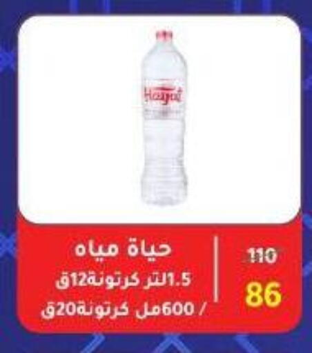 حياة available at وكالة المنصورة - الدقهلية‎ in Egypt - القاهرة