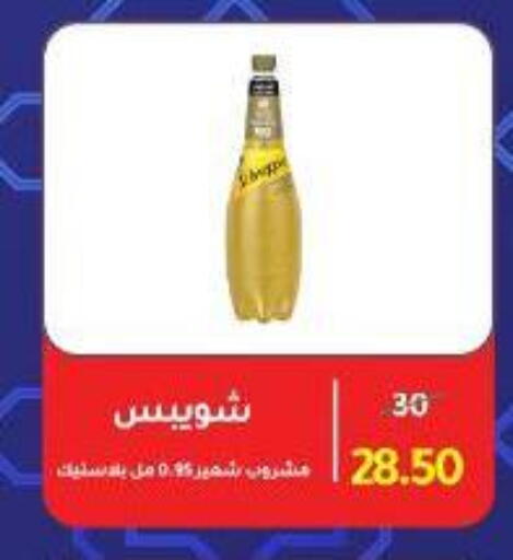 شويبس available at وكالة المنصورة - الدقهلية‎ in Egypt - القاهرة