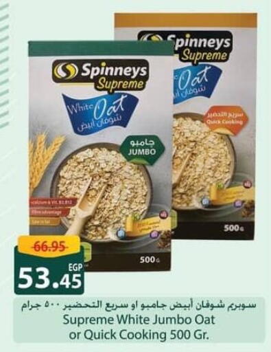 الشوفان available at سبينس in Egypt - القاهرة