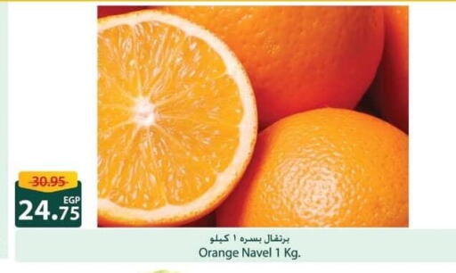 Orange available at Spinneys  in Egypt - Cairo