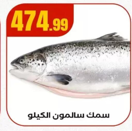 available at مارت فيل in Egypt - القاهرة