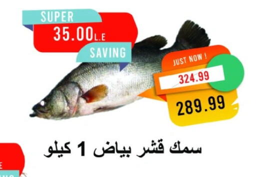 available at مترو ماركت in Egypt - القاهرة