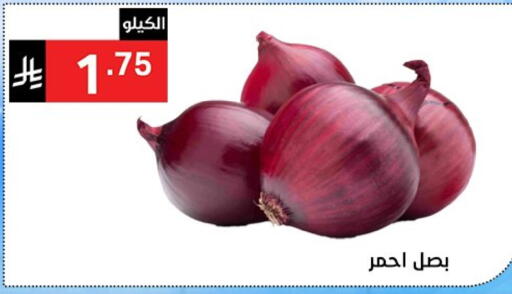 Onion available at Noori Supermarket in KSA, Saudi Arabia, Saudi - Jeddah