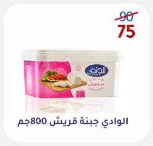 available at Wekalet Elmansoura - Dakahlia  in Egypt - Cairo