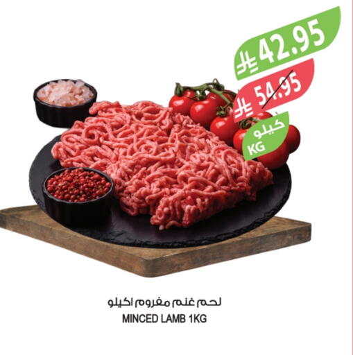 Mutton / Lamb available at Farm  in KSA, Saudi Arabia, Saudi - Jeddah