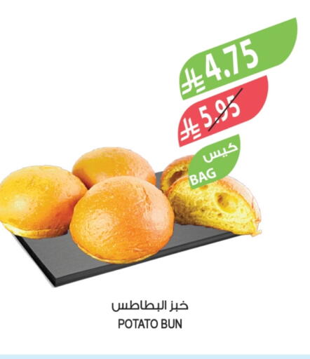 Potato available at المزرعة in مملكة العربية السعودية, السعودية, سعودية - الخرج