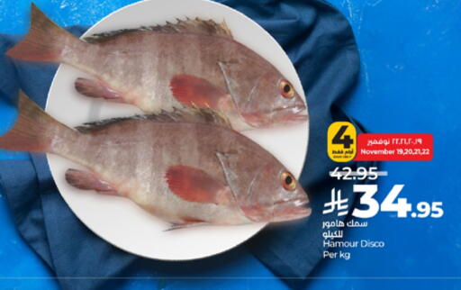 available at LULU Hypermarket in KSA, Saudi Arabia, Saudi - Tabuk