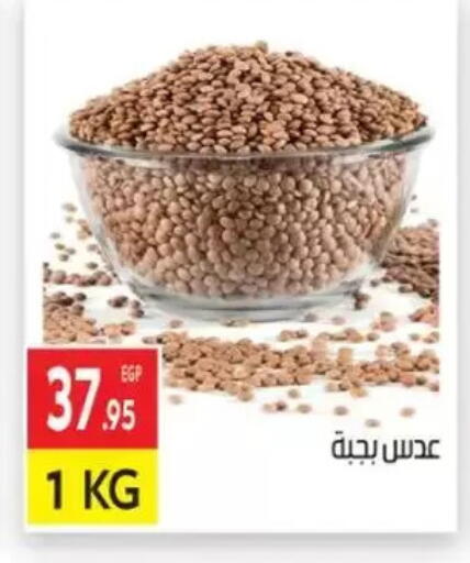 available at المحلاوي ماركت in Egypt - القاهرة