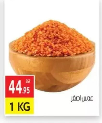 available at المحلاوي ماركت in Egypt - القاهرة