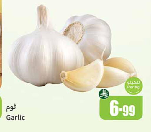 Garlic available at Othaim Markets in KSA, Saudi Arabia, Saudi - Al-Kharj