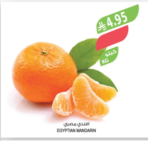 Orange from Egypt available at Farm  in KSA, Saudi Arabia, Saudi - Al Khobar