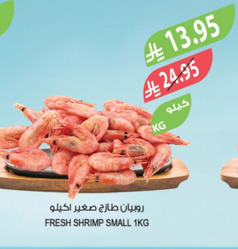 available at المزرعة in مملكة العربية السعودية, السعودية, سعودية - تبوك